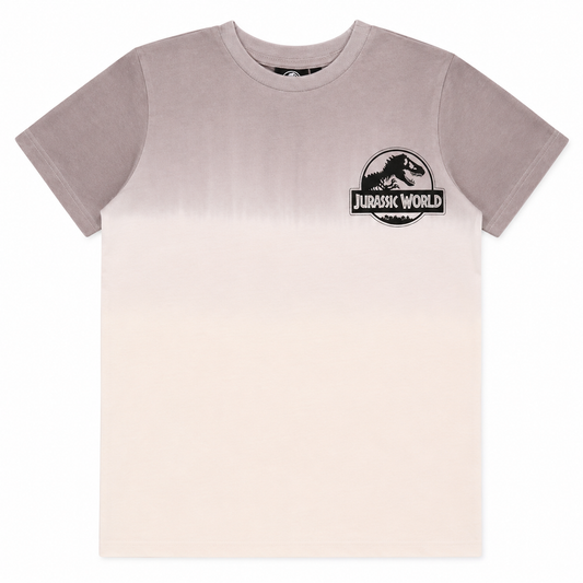 Jurassic world Boys T-Shirt Grey