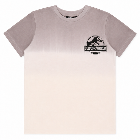 Jurassic world Boys T-Shirt Grey