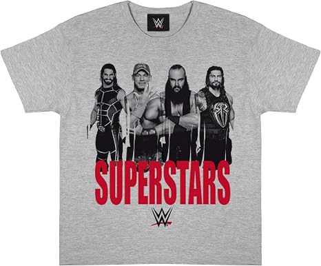 WWE Superstars Boys T-Shirt Heather Grey